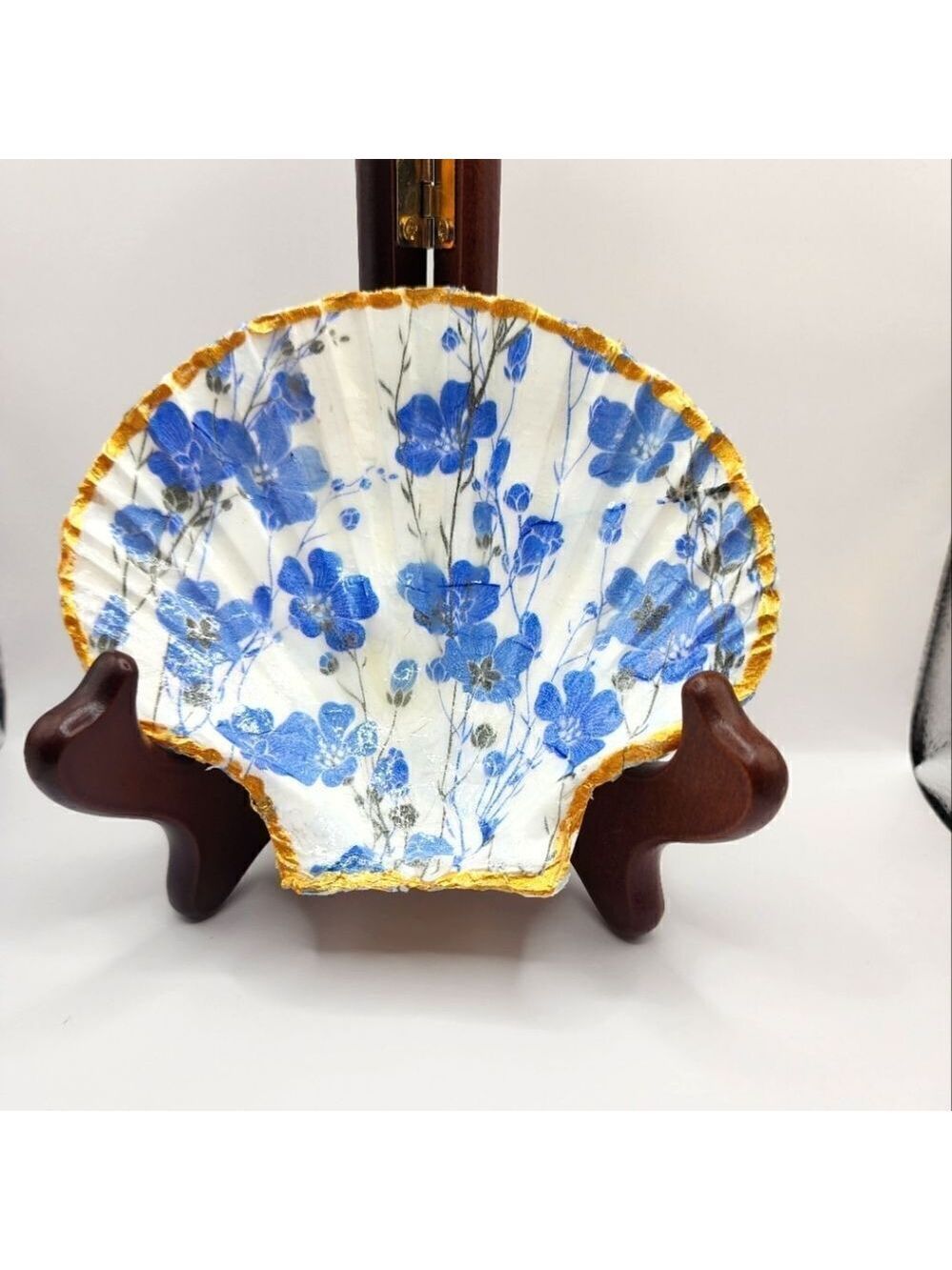SCALLOPED FAN SHELL 